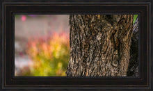 Load image into Gallery viewer, Plate 11 - Gethsemane Impression