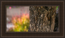 Load image into Gallery viewer, Plate 11 - Gethsemane Impression