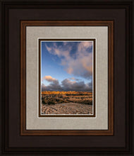 Load image into Gallery viewer, Plate 15 - O Jerusalem Vertical
