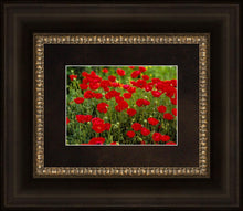 Load image into Gallery viewer, Plate 2 - Poppies in Abundance