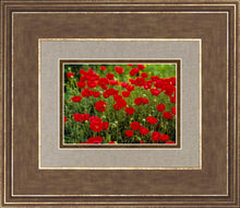 Load image into Gallery viewer, Plate 2 - Poppies in Abundance