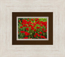 Load image into Gallery viewer, Plate 2 - Poppies in Abundance
