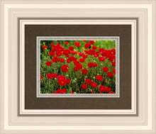 Load image into Gallery viewer, Plate 2 - Poppies in Abundance