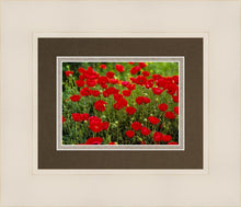 Load image into Gallery viewer, Plate 2 - Poppies in Abundance