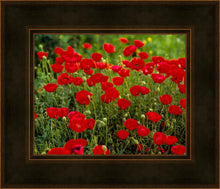Load image into Gallery viewer, Plate 2 - Poppies in Abundance