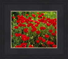 Load image into Gallery viewer, Plate 2 - Poppies in Abundance
