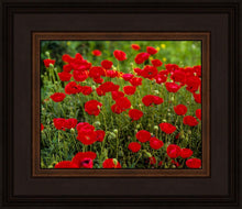 Load image into Gallery viewer, Plate 2 - Poppies in Abundance