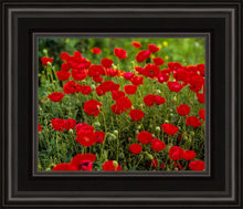 Load image into Gallery viewer, Plate 2 - Poppies in Abundance