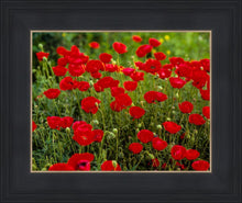 Load image into Gallery viewer, Plate 2 - Poppies in Abundance
