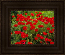 Load image into Gallery viewer, Plate 2 - Poppies in Abundance