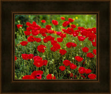 Load image into Gallery viewer, Plate 2 - Poppies in Abundance