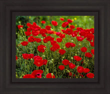 Load image into Gallery viewer, Plate 2 - Poppies in Abundance