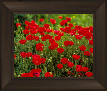 Load image into Gallery viewer, Plate 2 - Poppies in Abundance