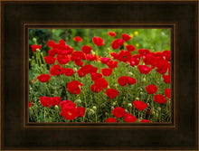Load image into Gallery viewer, Plate 2 - Poppies in Abundance