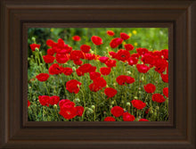 Load image into Gallery viewer, Plate 2 - Poppies in Abundance