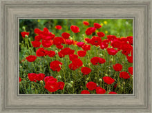 Load image into Gallery viewer, Plate 2 - Poppies in Abundance