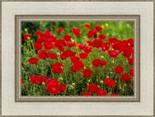 Load image into Gallery viewer, Plate 2 - Poppies in Abundance