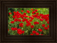 Load image into Gallery viewer, Plate 2 - Poppies in Abundance