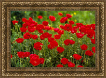 Load image into Gallery viewer, Plate 2 - Poppies in Abundance