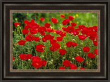 Load image into Gallery viewer, Plate 2 - Poppies in Abundance