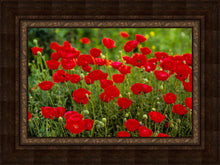 Load image into Gallery viewer, Plate 2 - Poppies in Abundance
