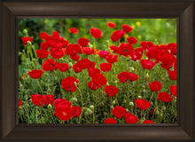 Load image into Gallery viewer, Plate 2 - Poppies in Abundance