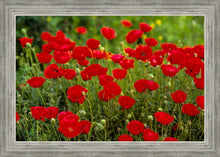 Load image into Gallery viewer, Plate 2 - Poppies in Abundance