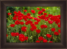 Load image into Gallery viewer, Plate 2 - Poppies in Abundance