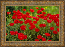 Load image into Gallery viewer, Plate 2 - Poppies in Abundance