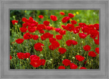 Load image into Gallery viewer, Plate 2 - Poppies in Abundance