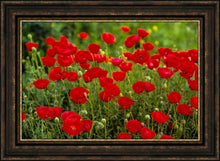 Load image into Gallery viewer, Plate 2 - Poppies in Abundance