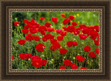 Load image into Gallery viewer, Plate 2 - Poppies in Abundance