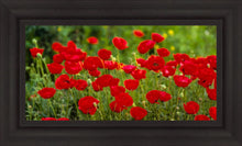 Load image into Gallery viewer, Plate 2 - Poppies in Abundance