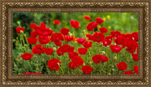 Load image into Gallery viewer, Plate 2 - Poppies in Abundance