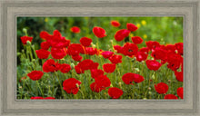 Load image into Gallery viewer, Plate 2 - Poppies in Abundance