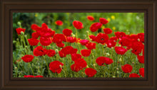 Load image into Gallery viewer, Plate 2 - Poppies in Abundance