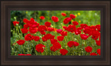 Load image into Gallery viewer, Plate 2 - Poppies in Abundance