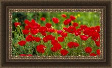 Load image into Gallery viewer, Plate 2 - Poppies in Abundance
