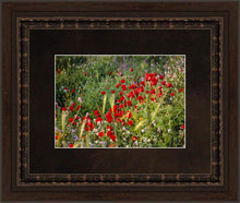 Load image into Gallery viewer, Plate 3 - Poppy Mix Judean Wilderness