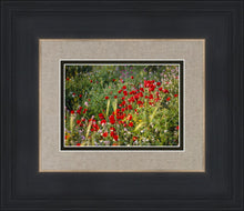 Load image into Gallery viewer, Plate 3 - Poppy Mix Judean Wilderness