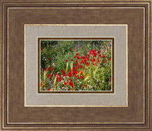 Load image into Gallery viewer, Plate 3 - Poppy Mix Judean Wilderness