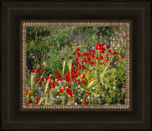 Load image into Gallery viewer, Plate 3 - Poppy Mix Judean Wilderness