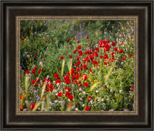 Load image into Gallery viewer, Plate 3 - Poppy Mix Judean Wilderness