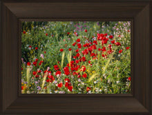 Load image into Gallery viewer, Plate 3 - Poppy Mix Judean Wilderness