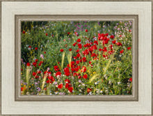 Load image into Gallery viewer, Plate 3 - Poppy Mix Judean Wilderness