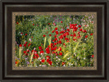 Load image into Gallery viewer, Plate 3 - Poppy Mix Judean Wilderness