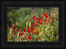 Load image into Gallery viewer, Plate 3 - Poppy Mix Judean Wilderness
