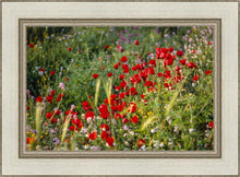 Load image into Gallery viewer, Plate 3 - Poppy Mix Judean Wilderness