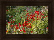 Load image into Gallery viewer, Plate 3 - Poppy Mix Judean Wilderness