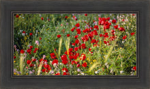 Load image into Gallery viewer, Plate 3 - Poppy Mix Judean Wilderness